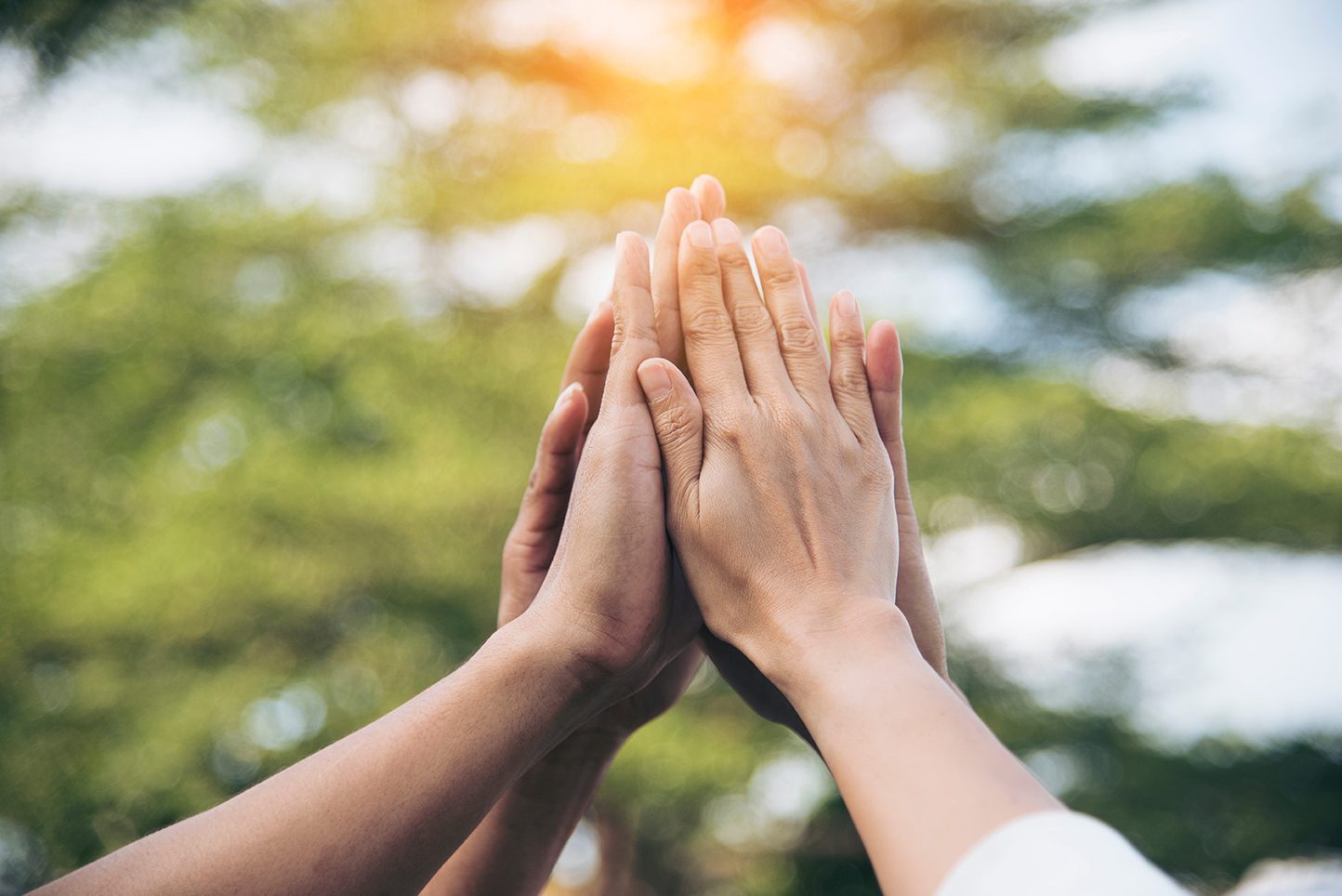 A team raising hands together